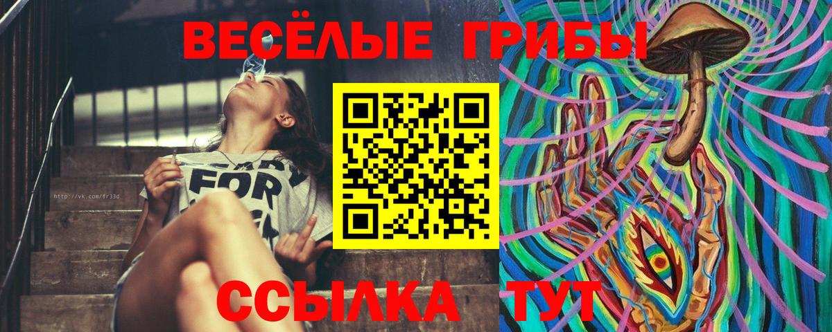 Шебекино  Псилоцибиновые грибы MAGIC MUSHROOMS  Вход с VPN 