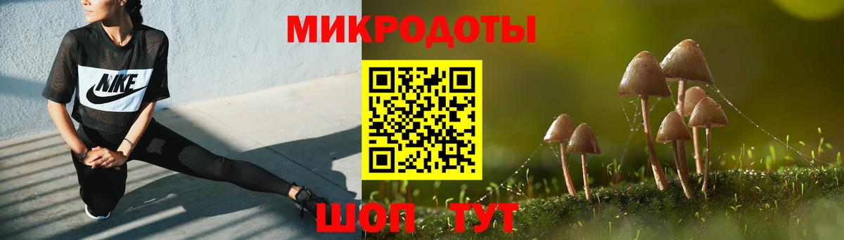 Псилоцибиновые грибы мухоморы Шебекино